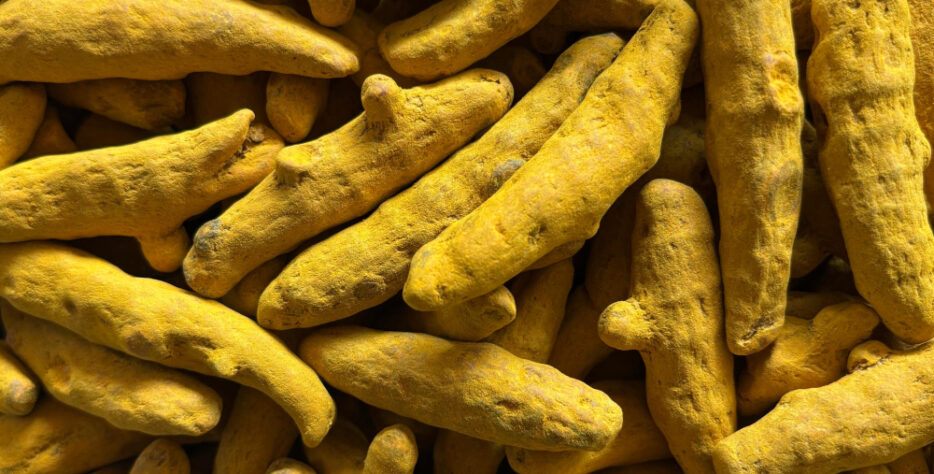 Selam Turmeric Finger is a premium variety known for its rich golden color, strong aroma, and high curcumin content. Grown naturally in Salem, Tamil Nadu, it’s prized for purity and quality. Carefully harvested and sun-dried, it’s ideal for culinary, medicinal, and cosmetic uses. A trusted spice that adds both flavor and health benefits.